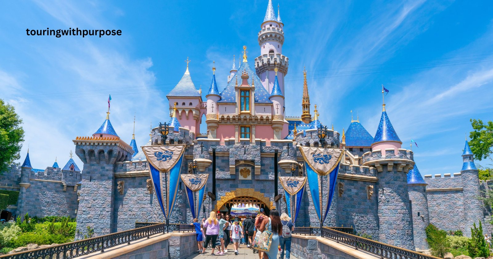 How Much Is A VIP Tour At Disneyland